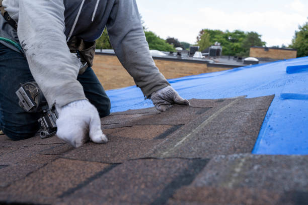 Best Emergency Roof Repair  in St Francis, MN
