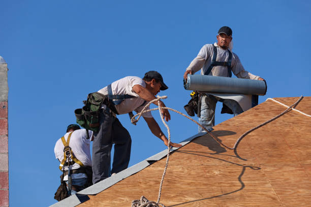 Roof Repair Estimates in St Francis, MN