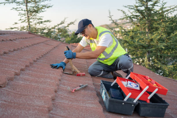 Residential Roof Replacement in St Francis, MN